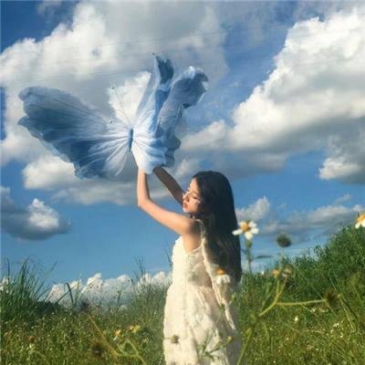 探长薇拉第十四季