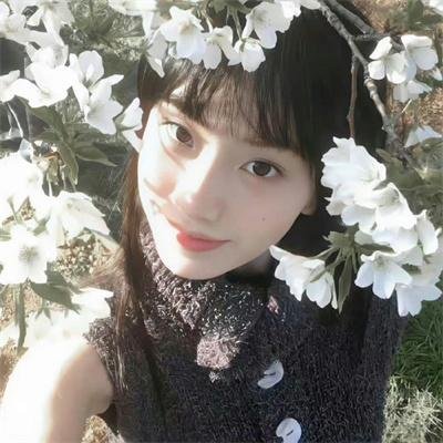 樱花别恋
